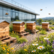 RSE - abeilles - ruches : un engagement concret pour les entreprises en Isère et Rhône